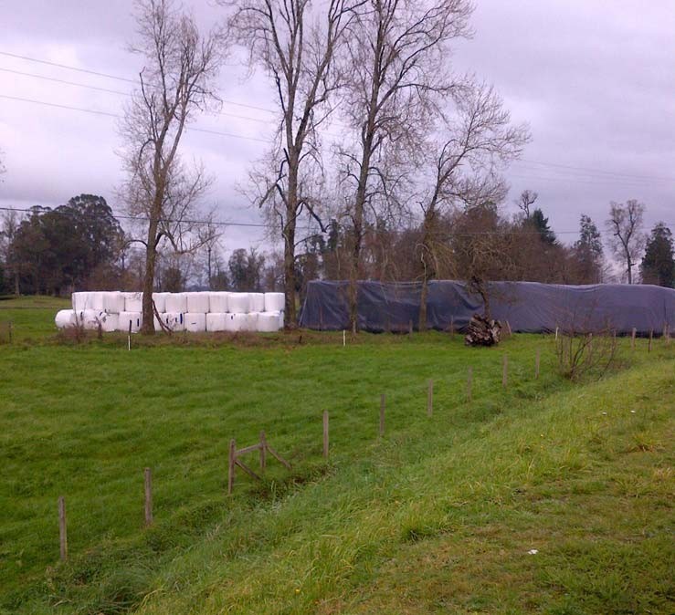 Plástico de invernadero | Geomembrana Plástico tricapa (trifilm) | Plásticos Much | Plástico Silo | Riego (mangas y válvulas para riego)| Plástico Tricapas UV 1T | Plástico Tricapas UV 2T | Plásticos para abejas | Polietileno | Film industrial | Plástico burbuja (PACK AIR)| Bolsas industriales| Plástico StrongFilm| Plástico StrongMulch| Venta Online