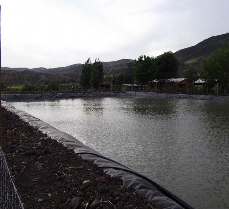 Plástico de invernadero | Geomembrana Plástico tricapa (trifilm) | Plásticos Much | Plástico Silo | Riego (mangas y válvulas para riego)| Plástico Tricapas UV 1T | Plástico Tricapas UV 2T | Plásticos para abejas | Polietileno | Film industrial | Plástico burbuja (PACK AIR)| Bolsas industriales| Plástico StrongFilm| Plástico StrongMulch| Venta Online