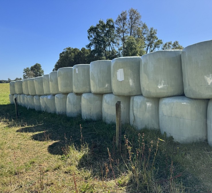 Plástico de invernadero | Geomembrana Plástico tricapa (trifilm) | Plásticos Much | Plástico Silo | Riego (mangas y válvulas para riego)| Plástico Tricapas UV 1T | Plástico Tricapas UV 2T | Plásticos para abejas | Polietileno | Film industrial | Plástico burbuja (PACK AIR)| Bolsas industriales| Plástico StrongFilm| Plástico StrongMulch| Venta Online