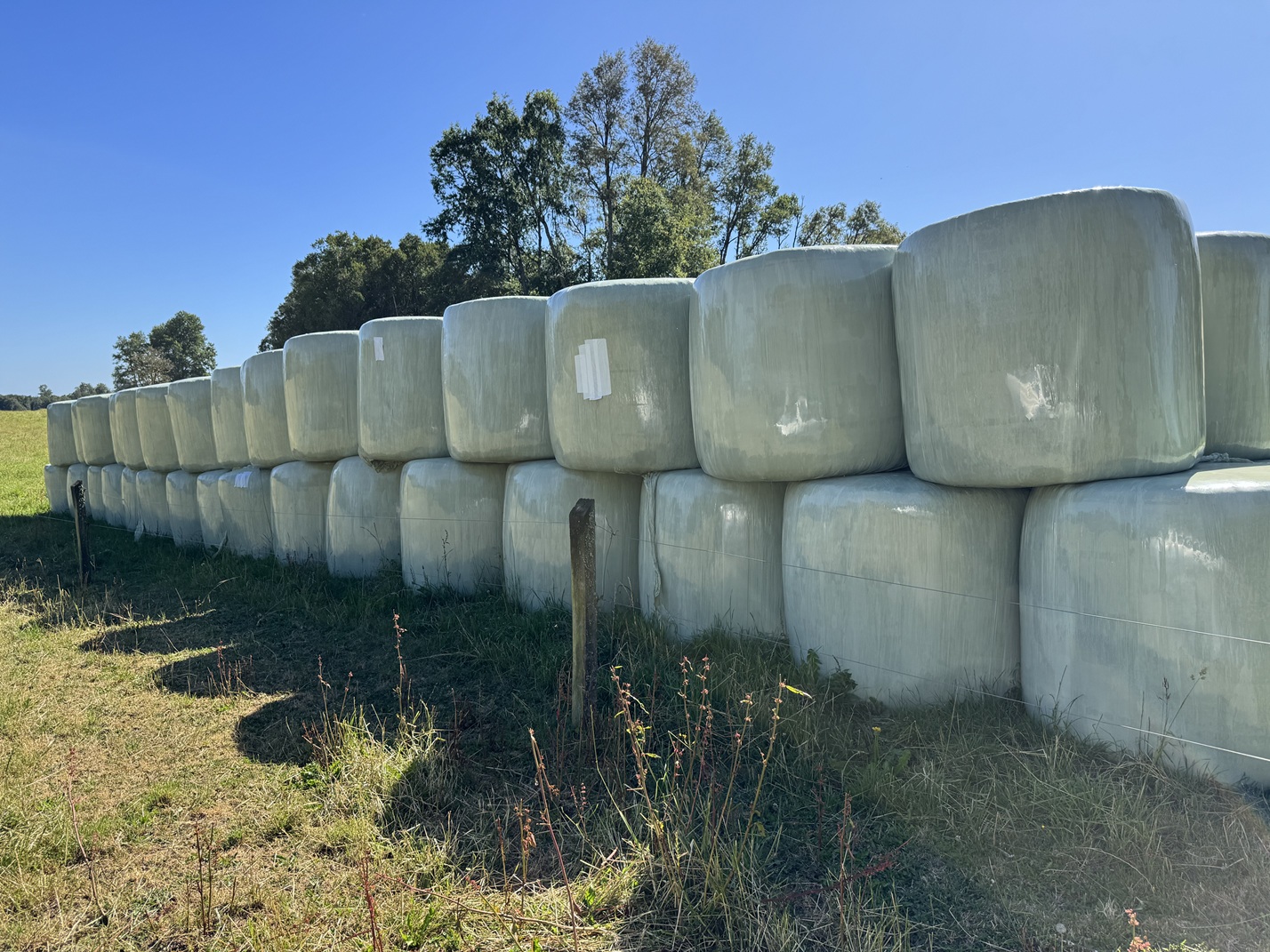 Plástico de invernadero | Geomembrana Plástico tricapa (trifilm) | Plásticos Much | Plástico Silo | Riego (mangas y válvulas para riego)| Plástico Tricapas UV 1T | Plástico Tricapas UV 2T | Plásticos para abejas | Polietileno | Film industrial | Plástico burbuja (PACK AIR)| Bolsas industriales| Plástico StrongFilm| Plástico StrongMulch| Venta Online