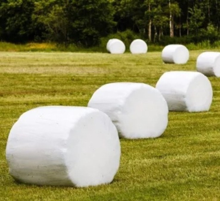 Plástico de invernadero | Geomembrana Plástico tricapa (trifilm) | Plásticos Much | Plástico Silo | Riego (mangas y válvulas para riego)| Plástico Tricapas UV 1T | Plástico Tricapas UV 2T | Plásticos para abejas | Polietileno | Film industrial | Plástico burbuja (PACK AIR)| Bolsas industriales| Plástico StrongFilm| Plástico StrongMulch| Venta Online