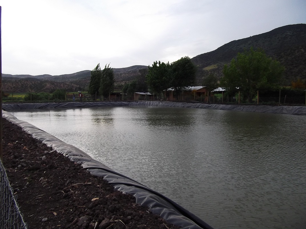 Plástico de invernadero | Geomembrana Plástico tricapa (trifilm) | Plásticos Much | Plástico Silo | Riego (mangas y válvulas para riego)| Plástico Tricapas UV 1T | Plástico Tricapas UV 2T | Plásticos para abejas | Polietileno | Film industrial | Plástico burbuja (PACK AIR)| Bolsas industriales| Plástico StrongFilm| Plástico StrongMulch| Venta Online