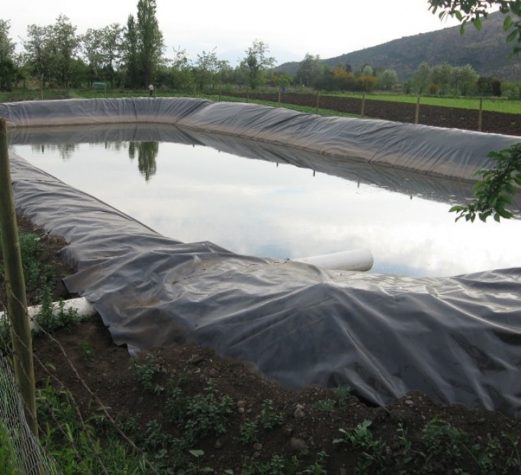 Plástico de invernadero | Geomembrana Plástico tricapa (trifilm) | Plásticos Much | Plástico Silo | Riego (mangas y válvulas para riego)| Plástico Tricapas UV 1T | Plástico Tricapas UV 2T | Plásticos para abejas | Polietileno | Film industrial | Plástico burbuja (PACK AIR)| Bolsas industriales| Plástico StrongFilm| Plástico StrongMulch| Venta Online