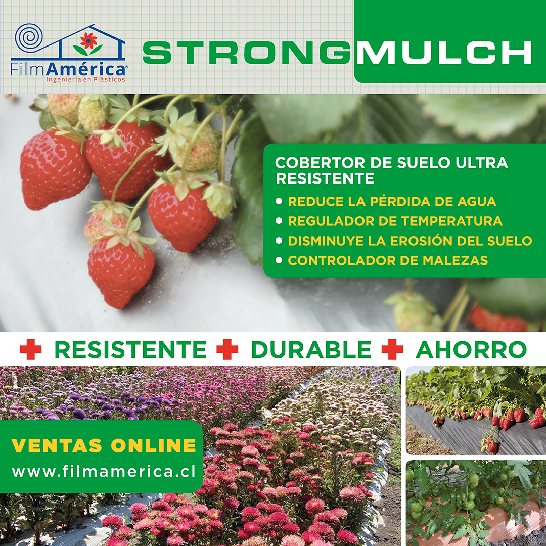 Información
